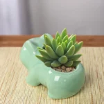 Pokemon Bulbasaur Ceramic Mini Flowerpot Cute Succulent Green Plants Flower Pot with Hole Home Garden Decoration Planters Gift 4